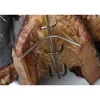 A close-up view of a meat or fish hook, possibly in a laboratory or butchery setting. Produktbild-Vorschau