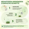 SF Nematoden gegen Apfelwickler -15 Mio.: Für 30 m² Produktbild-Vorschau 4