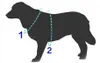 Geschirr + Leine für kleinen Hund Katze Katze XL 36-44cm im Produktbild-Vorschau 3