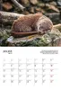 Otter Kalender 2027 Wandkalender Eintragkalender Produktbild-Vorschau 2