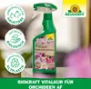 Neudorff Neudorff BioKraft Vitalkur für Orchideen 500 ml Produktbild-Vorschau 5