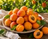 Aprikosenbaum Prunus armeniaca 100–120 cm – Obstbaum für Produktbild-Vorschau 2