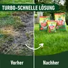 COMPO Turbo-Rasendünger für 130 m² - 5 kg Produktbild-Vorschau 8