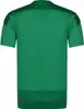 Puma teamGOAL 23 Training Jersey Produktbild-Vorschau 10