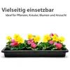BigDean Pflanzschale 59x39x6 cm ideal als Pflanzwanne, Produktbild-Vorschau 4