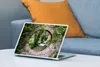 MuchoWow® Laptop Aufkleber Sticker Cover Wald - Steine - Produktbild-Vorschau 4