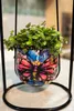 A small green plant in a colorful butterfly-patterned pot, suspended in a black metal stand. Produktbild-Vorschau