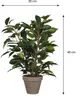 Umělá rostlina březový fíkus Ficus natasja Ø 30 H 40 cm Náhled obrázku produktu 11