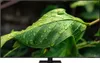 Samsung Q70D 85 Zoll QLED Smart TV Q85Q70DAT (2024) Produktbild-Vorschau 7