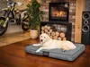 A dog is lying on a dog bed in front of a fireplace and a motorcycle. Náhled obrázku produktu