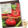 Graines de tomates(Berner Rose, 10 graines) - Graines de Voir les images du produit 1