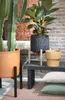 Mica Decorations Ascot Support pour plantes XL - L46 x l46 Voir les images du produit 5
