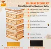 Bienenstock, 40 Rahmen, Zander Beute, mit Bienenwachs Produktbild-Vorschau 6