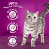 WHISKAS® Karton Trocken 1+ mit Rind 800g Produktbild-Vorschau 2