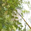 Merco Teleskopowy Zbierak do Owoców 4M Zbierak do Owoców Podgląd zdjęcia produktu 3