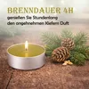 Theelicht met geur - Dennennadelen - verpakking van 54 Productafbeelding-voorbeeld 3