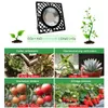 LED Pflanzenlampe 50W IP66 Wasserdicht,Led Grow Lampe Produktbild-Vorschau 4