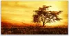 Glasbilder 140x70 Wandbild Druck auf Glas Baum Natur Produktbild-Vorschau 1