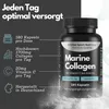 Marine Collagen Kapseln, 1700mg Meereskollagen pro Tag mit Produktbild-Vorschau 3
