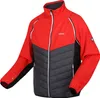 Regatta Steren Hybrid Softshelljacke für Herren mit Produktbild-Vorschau 1