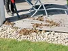 Einhell Power X-Change Akku-Laubbläser GE-CL 18 Li E Kit Produktbild-Vorschau 27