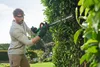 A man is trimming a hedge with an electric hedge trimmer in a garden. Produktbild-Vorschau