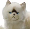 A close-up studio shot of a plush cat toy. Náhľad obrázku produktu
