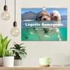 Lagotto Romagnolo, Sonderausgabe (Wandkalender 2027, DIN Produktbild-Vorschau 3