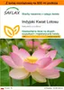SAFLAX - Garden in the bag - Indyjski Kwiat Lotosu - 8 Podgląd zdjęcia produktu 1