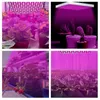 Peviasot LED Pflanzenlampe 45W Pflanzenleuchte 225 LEDs für Produktbild-Vorschau 8