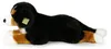 Großer Plüschhund, Berner Sennenhund, 61 cm, Produktbild-Vorschau 7