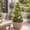 Support pour plantes KADAX 44–128 cm, spirale en acier Voir les images du produit 2