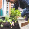 Lot de 60 étiquettes pour plantes Relaxdays, à Voir les images du produit 3