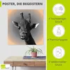 ARTland Poster Giraffen Kontakt Größe: 50x50 cm Produktbild-Vorschau 2