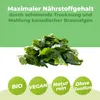 Kelp Pulver 250g |  Kelp Algen | Superfood | vegan | Produktbild-Vorschau 4