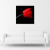 Leinwandbild rote tulpenblüte 60x60 cm Feeby rot wandbild Produktbild-Vorschau 2