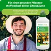 Purgrün -Zitrusdünger 1 Liter, Produktbild-Vorschau 2