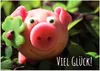 Friendly Fox Viel Glück Karte, 1x DIN A6 Klappkarte Viel Produktbild-Vorschau 1