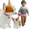 Lolex | Interaktiver Hund - Corgi - Bunt - Realistische Produktbild-Vorschau 1