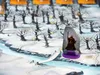 Gioco KOSMOS Andor - Il freddo eterno Anteprima dell’immagine prodotto 8
