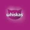 A pink and purple gradient background with a stylized cat face silhouette containing the brand name. Voir les images du produit