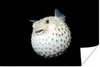 MuchoWow® Poster Fische - Meerestiere - Porträt 60x40 cm - Produktbild-Vorschau 1
