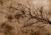 Vlies Fototapete - Rickety Cherry Tree 400x280 cm Abstrakt Produktbild-Vorschau 5