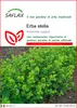 SAFLAX  - Erba stella - 100 semi - Alchemilla Anteprima dell’immagine prodotto 1