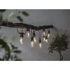 A string of party lights with Edison-style bulbs hangs from a rustic branch, with greenery in the foreground and background. Podgląd zdjęcia produktu