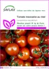 SAFLAX  - Tomate mexicaine au miel - 10 graines - Voir les images du produit 1