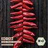 Samenliebe  Chili Samen | Gorria - rot & mild-scharf - Produktbild-Vorschau 4