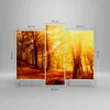 Bild auf Leinwand - Leinwandbild - Wald Baum Natur - Produktbild-Vorschau 3