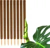 BigDean 8er Set Pflanzstäbe Kokos 110 cm - Monstera Produktbild-Vorschau 1