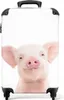 NoBoringSuitcases.com - Kinderkoffer Schweinchen weiß - Produktbild-Vorschau 1